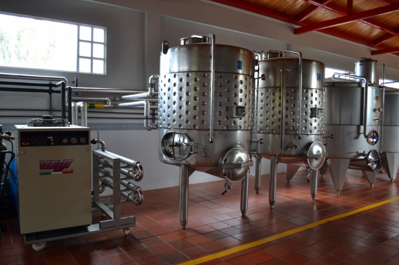 cave-GRIMAUD-min_wine_production_cantine_winery_drink_alcohol_vine_beverage-902036